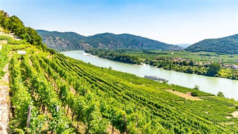 The Wachau Valley, Austria: vineyards, villages and medieval castles ...