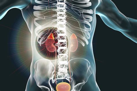 Signs Of Common Hormonal Imbalances In Men