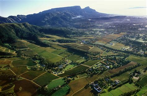 Constantia a Cape Town | La valle del vino | My Cape Town