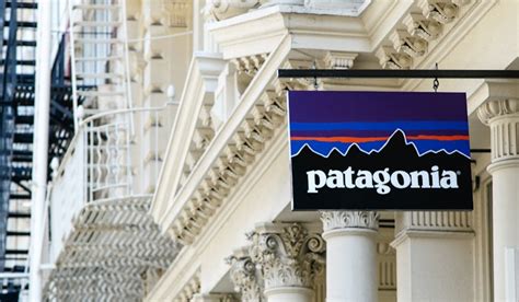 Patagonia is ‘going purpose’ as founder gifts company to climate crisis fight