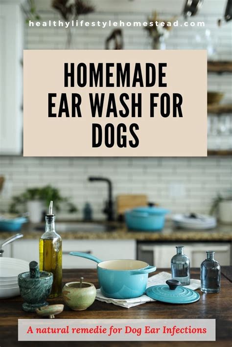 How To Make a Homemade Ear Wash for Dogs | Dog ear wash, Natural dog ear cleaner, Dog ear ...