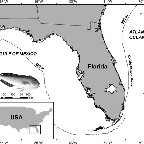 Map of the continental shelf regions around Florida, USA with the 200 m ...