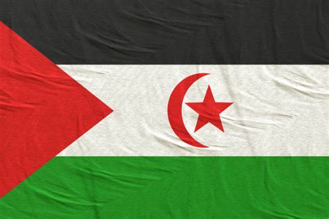 60+ Polisario Front Stock Photos, Pictures & Royalty-Free Images - iStock