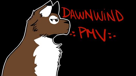 Dawnwind PMV - Battle Scars (warrior cat oc) - YouTube