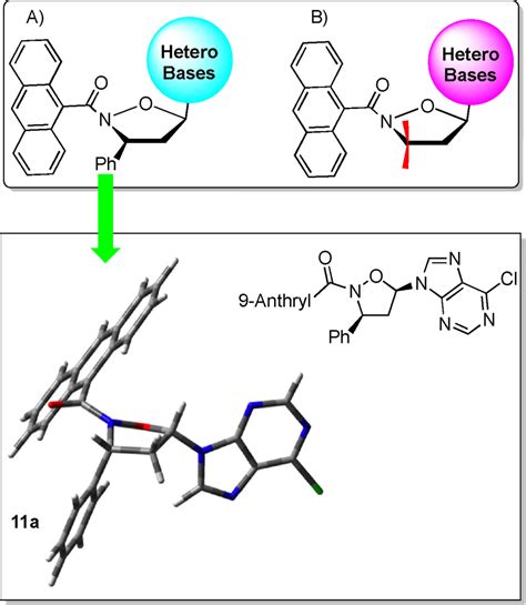 Synthesized nucleoside analogues; compound 11 a. | Download Scientific Diagram