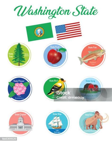 Washington State Symbols Stock Illustration - Download Image Now ...