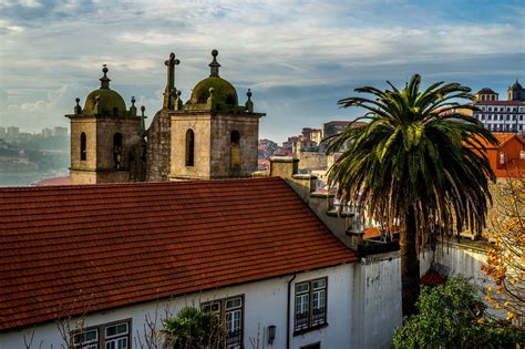 Download free photo of Porto,portugal,houses,palm,architecture - from ...