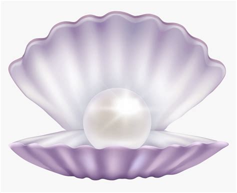 Pearl Png Clam Pearl Png Transparent Png Kindpng | The Best Porn Website