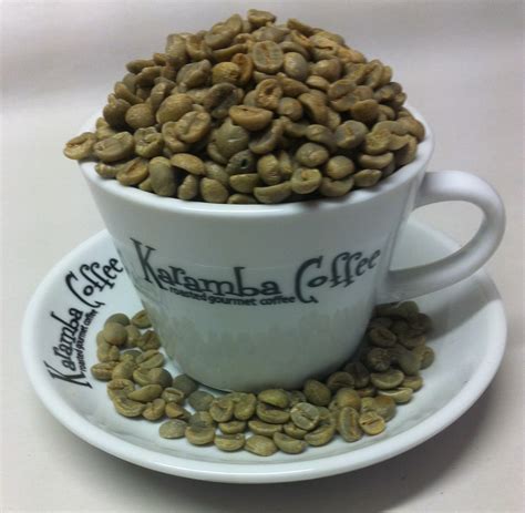 Green Arabica Coffee Beans – Brazil Monte Christo Rain Forest Alliance | Ay! Karamba