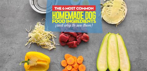 6 Most Common Homemade Dog Food Ingredients (and why use them)