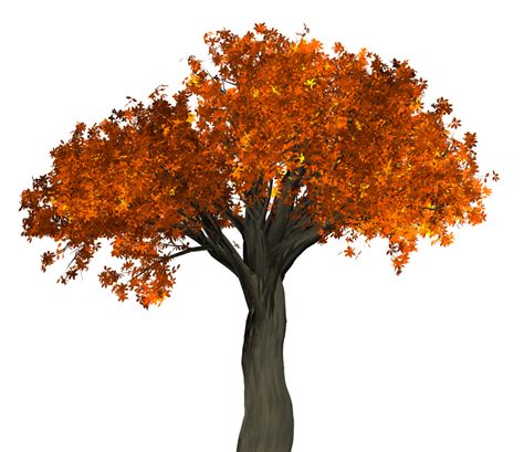 Big Autumn Tree Png Image Purepng Free Transparent Cc Png Image | The Best Porn Website