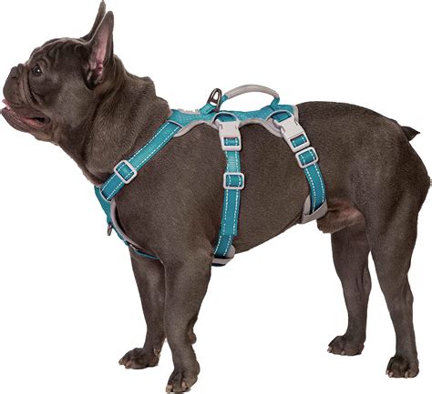 Huntboo Escape Proof Dog Harness, Escape Artist Harness, Fully Reflective Harness with Padded ...