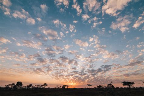 Serengeti - Sunrise - Vancouver Photographer - Vince Chow