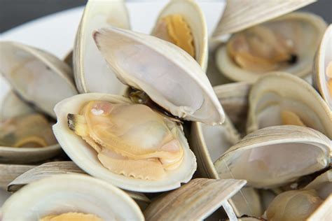 How to Clean Clams (Truly Purge Out the Sand) - Fifteen Spatulas