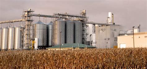 Tips to Producing Food-Grade Corn, part 4 - Drying, Storage & Handling ...