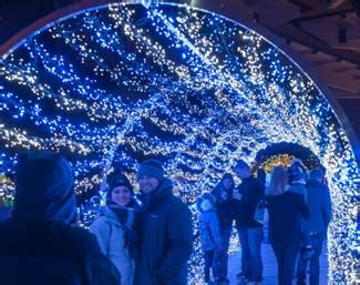 Christmas Lights At The Indianapolis Zoo Are Bigger Than Ever | The ...