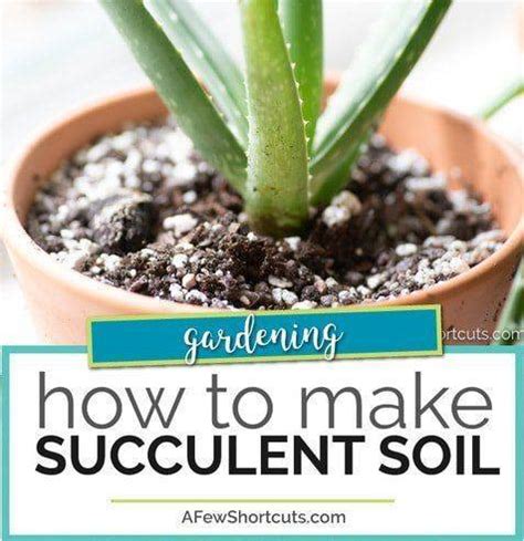 DIY Succulent Soil Mix