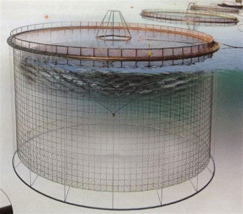 Fish Farm Nets | Morenot Canada Ltd