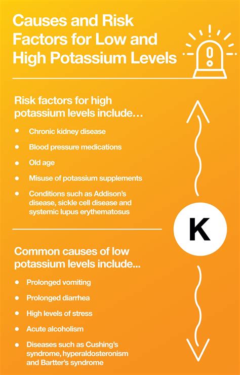 What Is Potassium and Why Do We Need It: 15 Foods High in Potassium ...