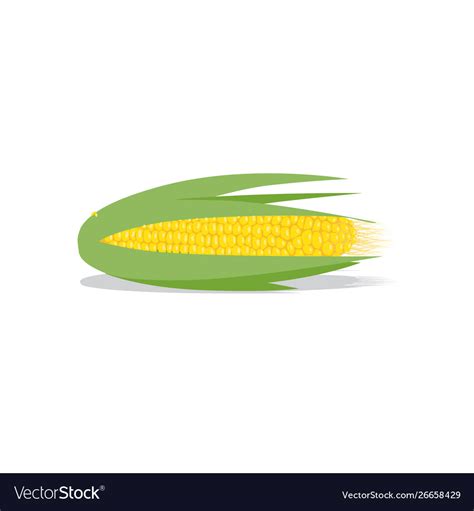 Corn Royalty Free Vector Image - VectorStock