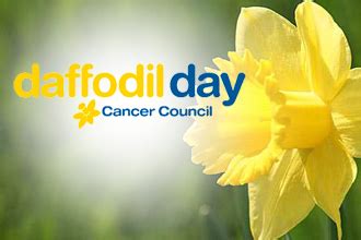 Daffodil Day - 1134 3CS