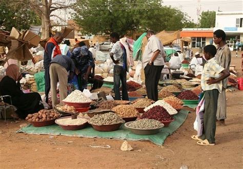 Sudan's Displaced Millions Struggle to Survive As Economy Seizes Up ...