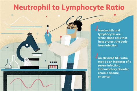 How Do You Naturally Boost Neutrophil Count?