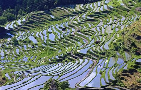 [Hidden Wonders of Japan] Preserving Maruyama’s Thousand Rice Paddies ...