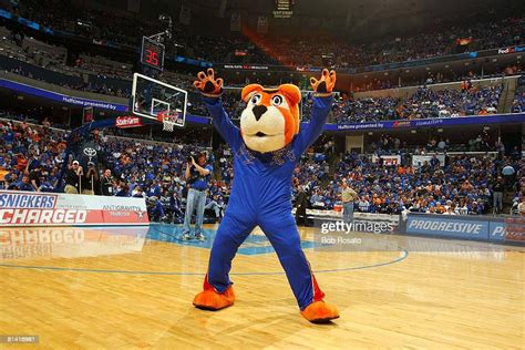 Memphis Tigers mascot Pouncer on court during game vs Tennessee ...