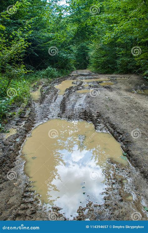 Mud puddle on a dirt road stock image. Image of fall - 114394657