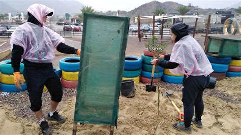 Filipinos in UAE on mission to plant trees in Hatta