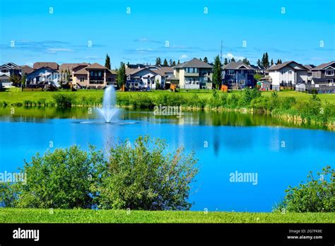 An urban landscape with a green space ,pond, houses and blue sky in ...