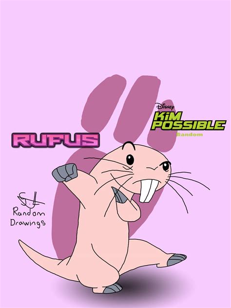 Rufus | Kim Possible by SERGIBLUEBIRD16 on DeviantArt