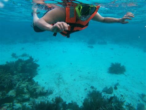 Costa Maya Snorkeling price: $29 USD -Tequila Beach Tours