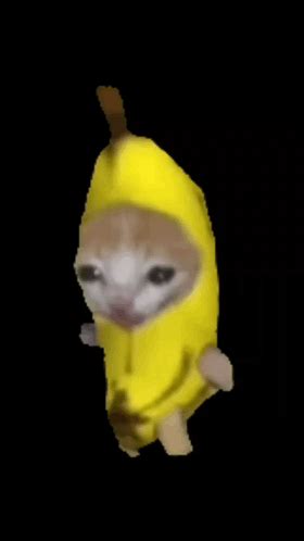 Banana Cat Walking GIF - Banana cat walking - Descobrir e Compartilhar GIFs | Gif, Andando gif, Gifs