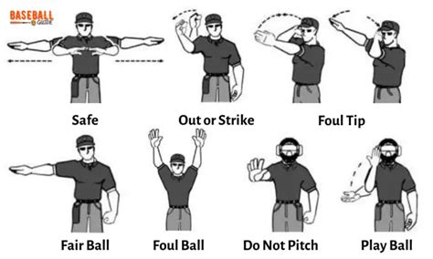 Beginner's Guide to Baseball Umpire Signals: Complete Guide