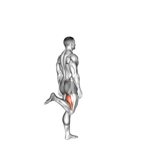 Knee Flexion: Video Guide & Tips For Effective Exercises