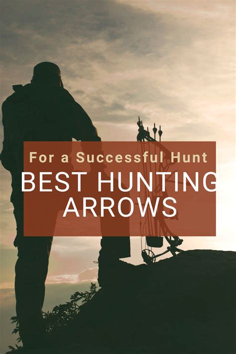 Best Hunting Arrows for a Successful Hunt