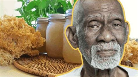 Dr. Sebi Sea Moss Benefits and Facts. - famous-doctors.com