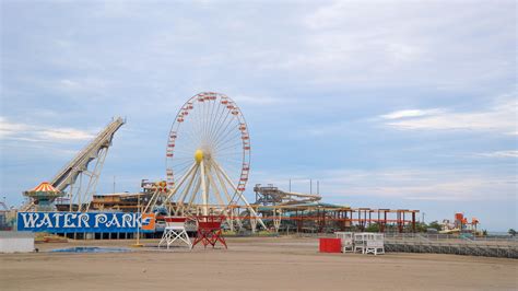 Are Dogs Allowed On The Wildwood Boardwalk