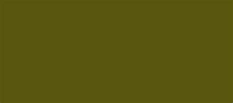 HEX color #58550E, Color name: Army green, RGB(88,85,14), Windows: 939352. - HTML CSS Color