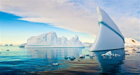 Visit Antarctica with Geodyssey on National Geographic Explorer