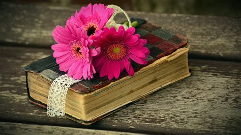 Books and Flowers Wallpapers - Top Free Books and Flowers Backgrounds - WallpaperAccess