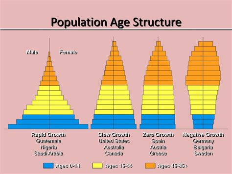 An Age-structure Diagram Shows A Breakdown Of A Population B