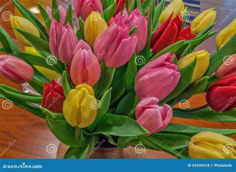 Fresh Tulips for Mother S Day Stock Photo - Image of fresh, tulips ...