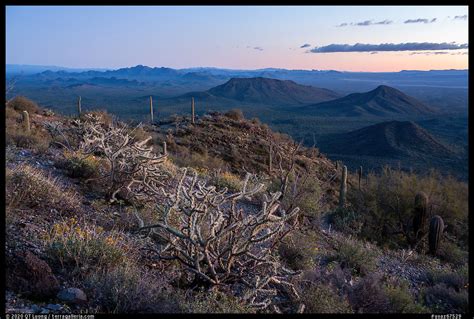 » Sonoran Desert National Monument Guide - from QT Luong's Blog