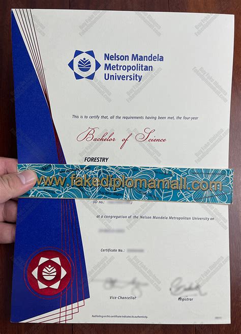 Nelson Mandela University Fake Diploma | Best Site to Buy Fake Diploma