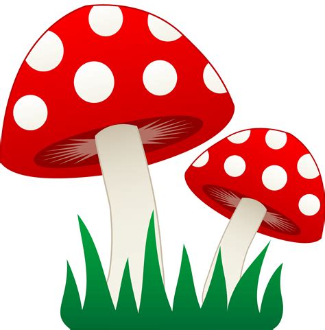 Fungi Clipart - Cliparts.co