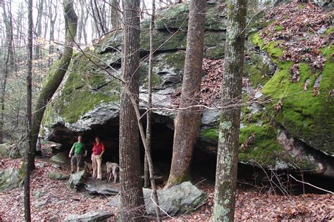 Hospital Rock to Falls Creek Trail in Jones Gap State Park