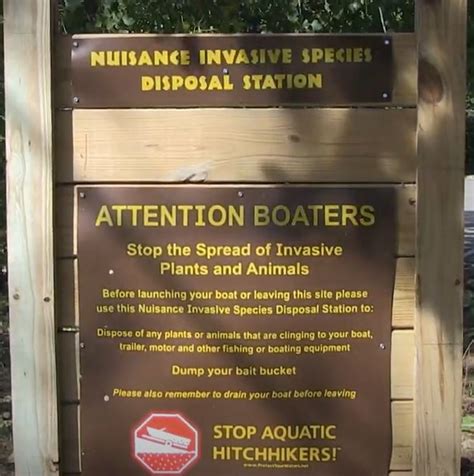 Boaters - Help Prevent the Spread of Aquatic Invasive Species